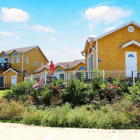 Healing House Vila Seogwipo Exterior foto
