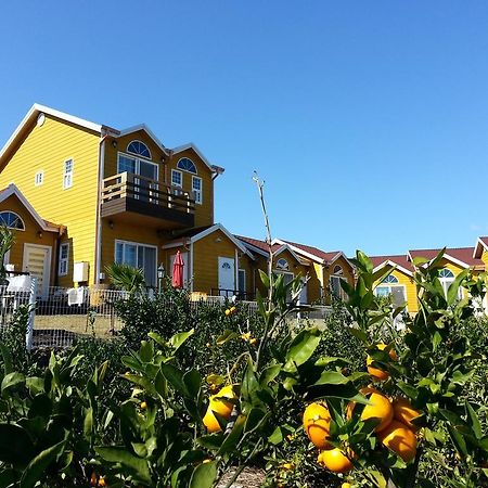Healing House Vila Seogwipo Exterior foto