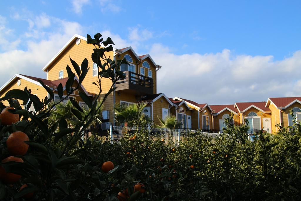 Healing House Vila Seogwipo Exterior foto