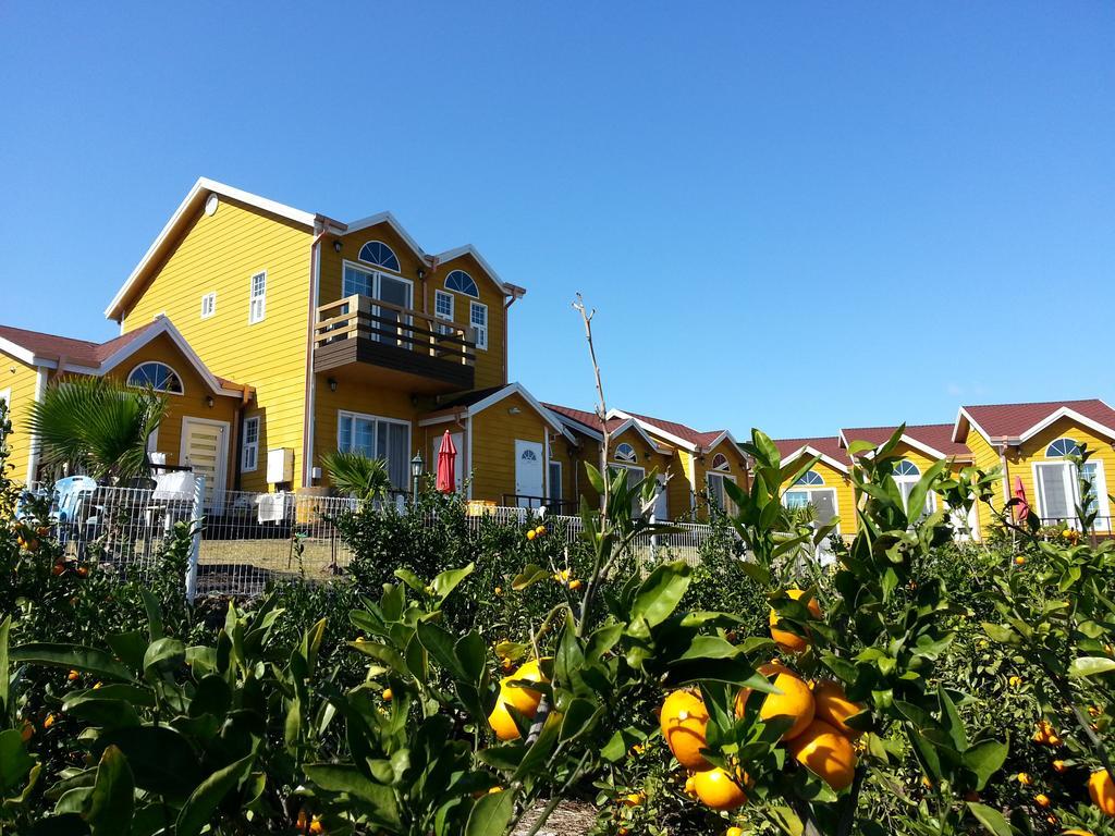 Healing House Vila Seogwipo Exterior foto